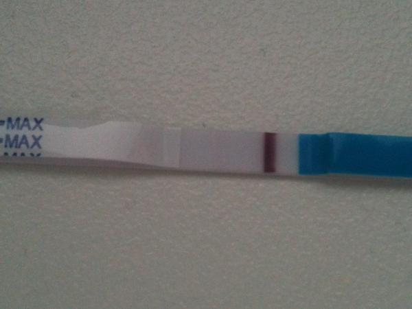 Duch nebo vlčí mlha?