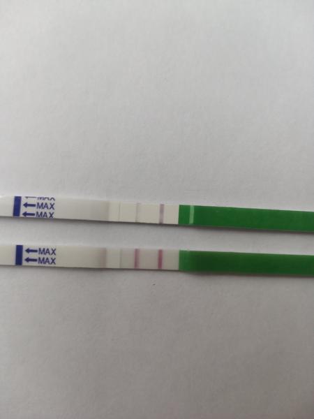 Ovulace. Je možné čtyři dny po pozitivním testu, že teprve proběhne?