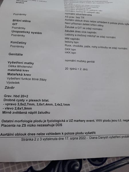 Vyšetření. Je něco špatně s miminkem?