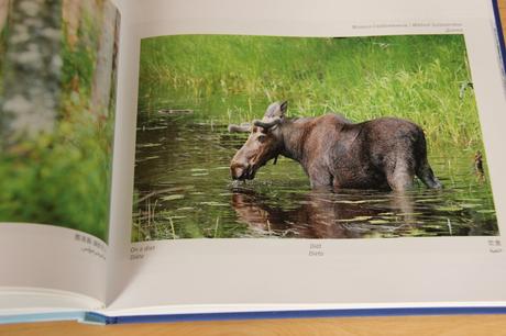 Kniha nedotčené rusko, 