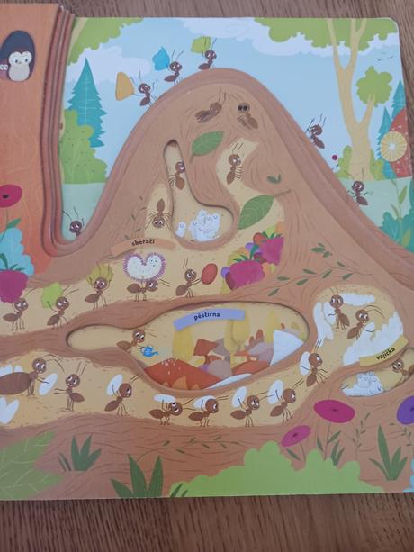 Kniha co se děje v mraveništi., 