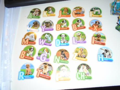 Magnet magnety pes pejsci,