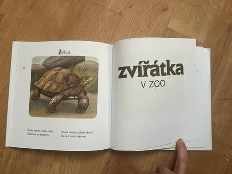 Kniha kamarádi zvířátka od jiřího žáčka, 