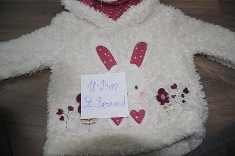 Mikinka s králíčkem, st. bernard,92