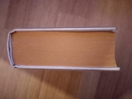 Kniha šifra mistra leonarda, 