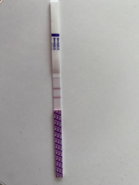 Co signalizuje pozitivní ovulační test a kdy mít styk?