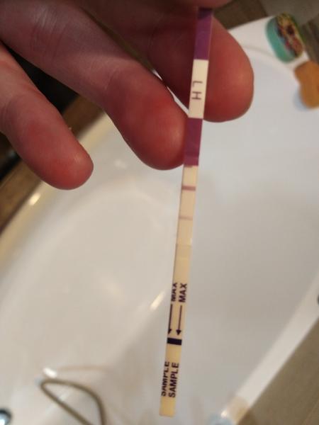 Ovu test. Může to tak být?