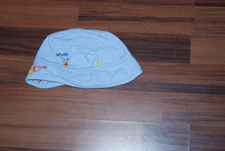 Modrý klobouk s delfínem, 62