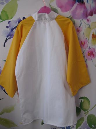 Karnevalový plášť-lékař, lékařka, operatér,