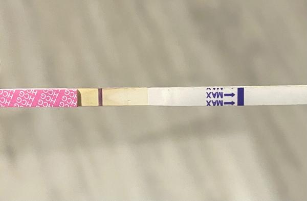 Vidím duchy na těhotenském testu. Co vy?