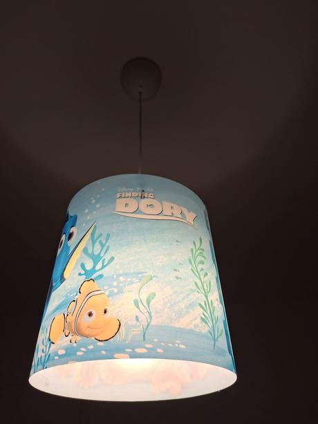 Dory lustr,