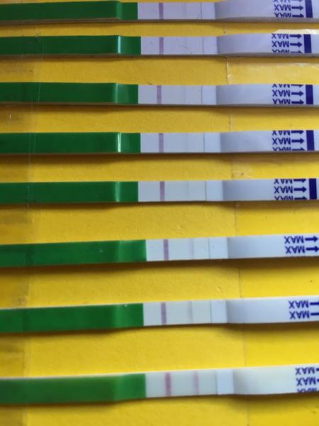 Pomáhá G směs při nepravidelném menstruačním cyklu?