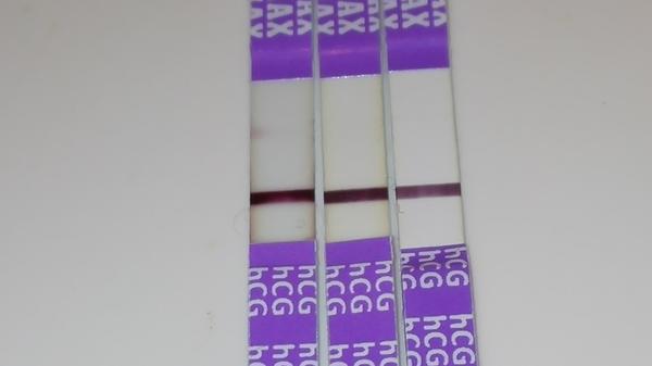 Vadný těhotenský test? Byl déle namočený