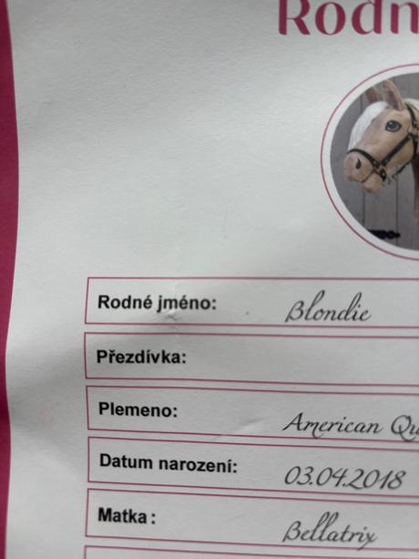 Koník hobby horse blondie s černou ohlávkou,