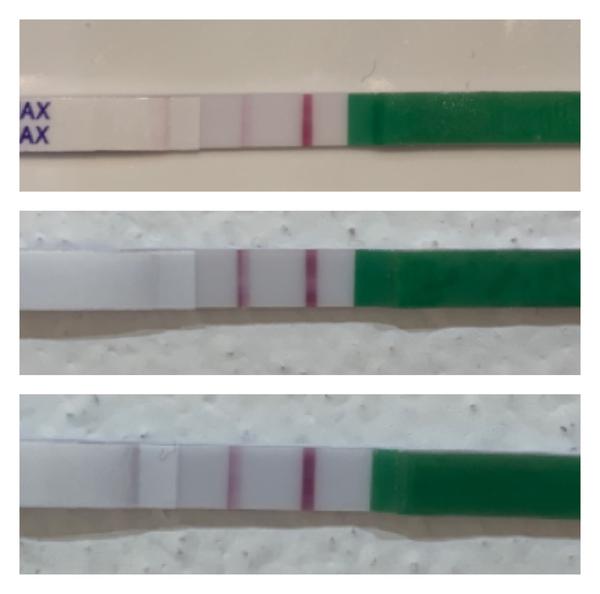 Ovulační test. Kdy ho brát jako pozitivní?