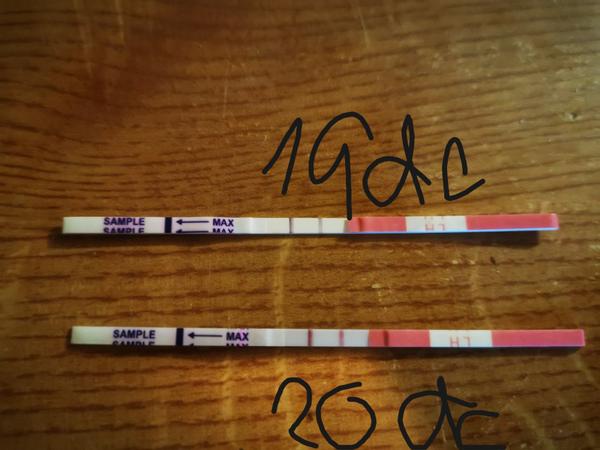 Může být špinění po ovulaci příznakem uhnízdění?