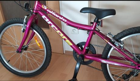 Detske kolo arcore 19 kola, arcore,20