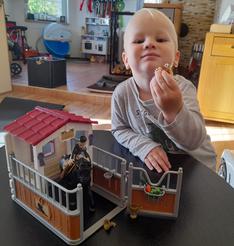 Hrací set Box pro koně s Tori a Princess HORSE CLUB