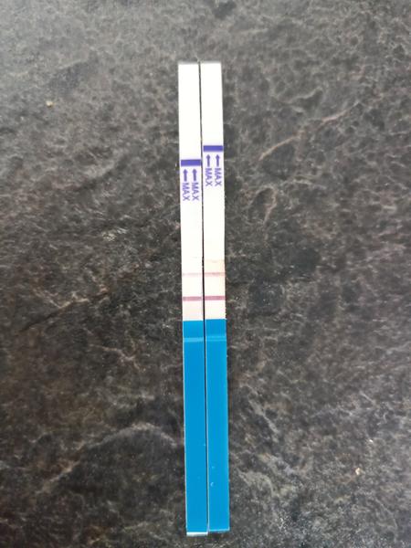 Proč je čárka na těhotenském testu slabší ráno?