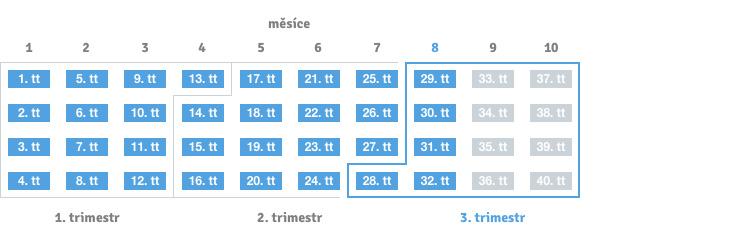 32. týden těhotenství
