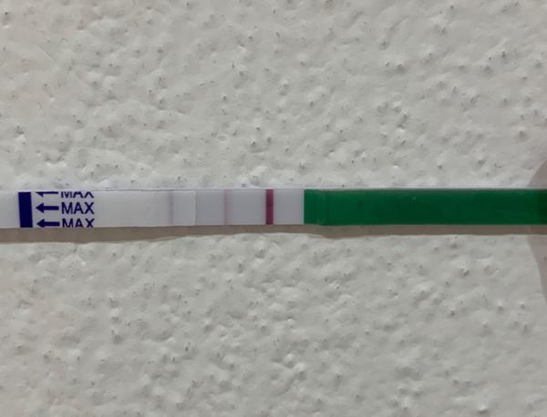 Nechápu co se děje. Těhu nebo posunutá ovulace?