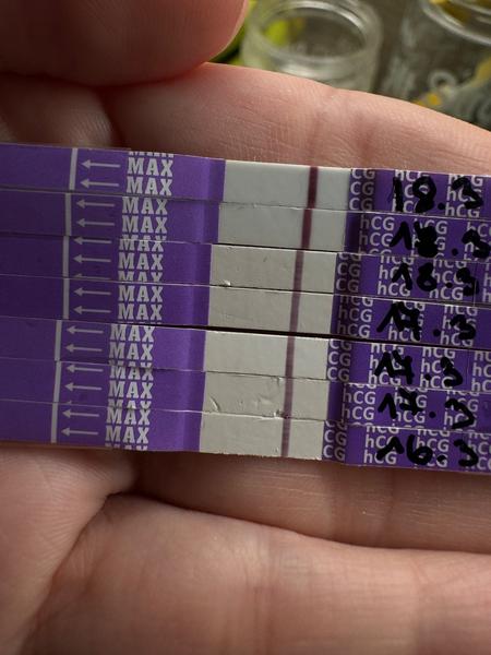 Vidíte na těhotenském testu něco pozitivního?