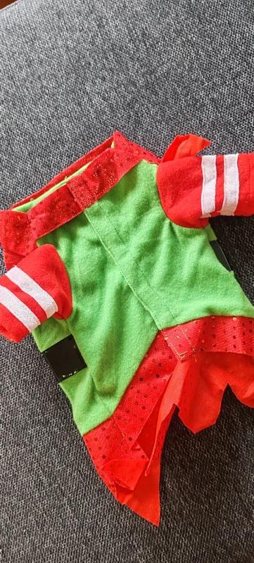 Vánoční skřítek,