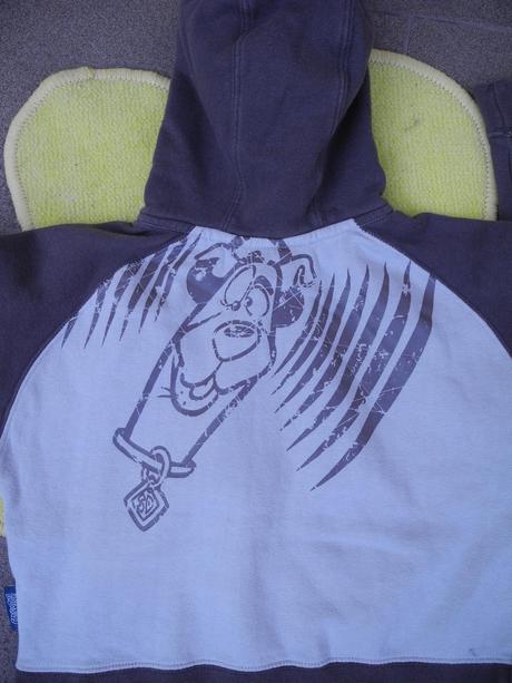 Mikina s kapucí, 110