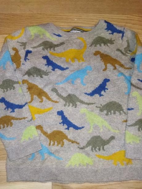 Svetr s dinosaury 110 next, next,110