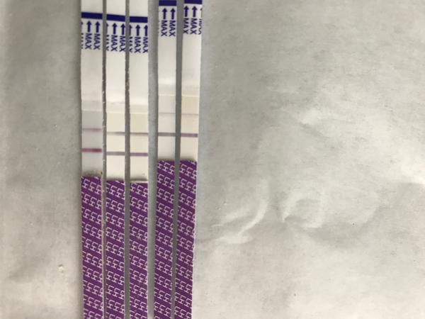 Ovul. testy. Kdy mohla být ovulace?