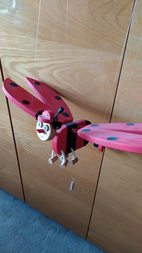 Létající dřevěna beruška,