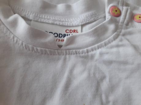 Body s labutí, coccodrillo,68