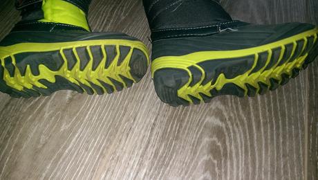 Sněhule lupilu, lupilu,25