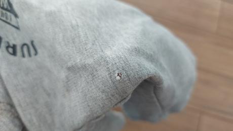 Tříčtvrťáky, wolf,98