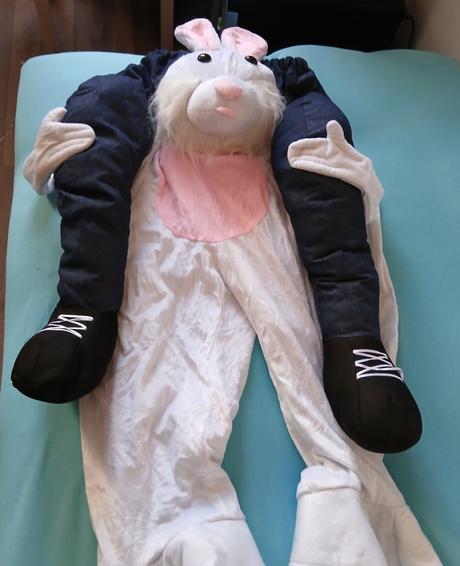 Kostým na karneval, 