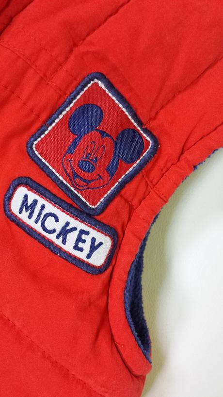 Vesta mickey mouse, george,80