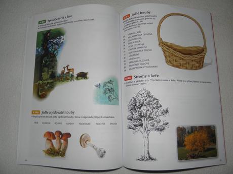 Nový pracovní sešit prvouka hrou 1.-3. třída, 