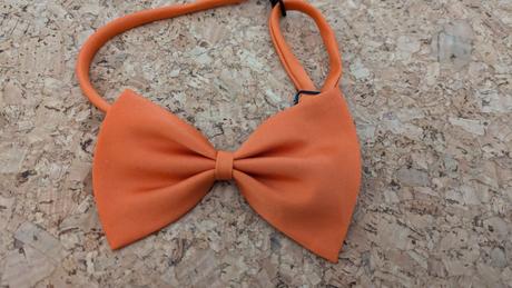 E273 dětský motýlek, 