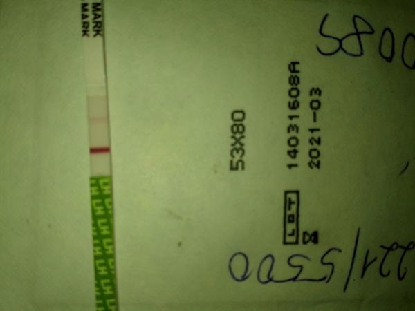 Co ukazuje ovulační test mimo plodné dny?