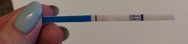 Je test z Dr. Maxe opravdu spolehlivý?