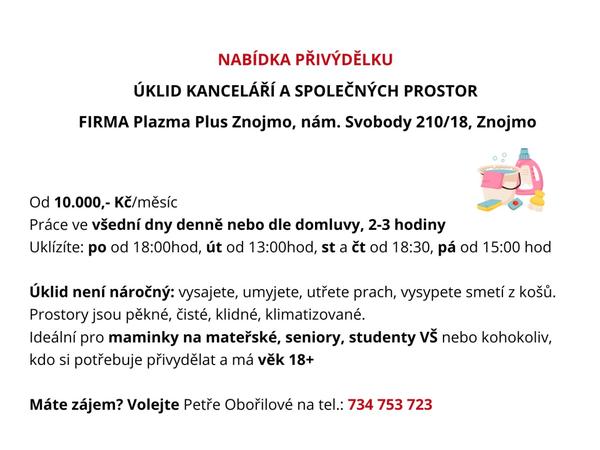 Přivýdělek i pro maminky