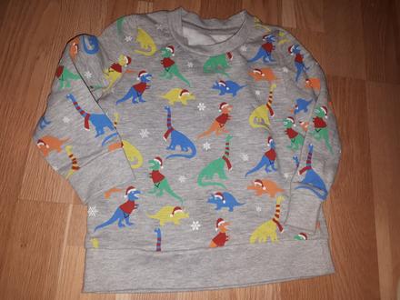 Mikina s dinosaury, 104