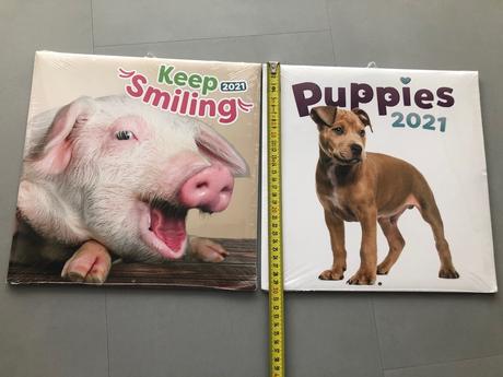 24 x obrázky foto do rámečku zvířata zoo pes barva, 