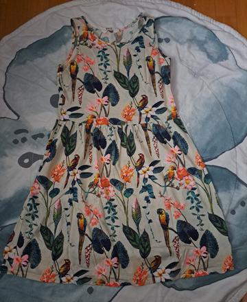 Šaty s papoušky, h&m,158