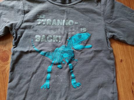 Tričko s dinosaurem, 110