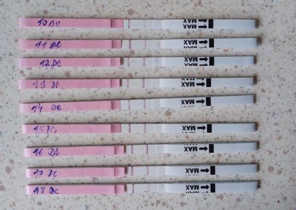 Jak zjistit, zda proběhla ovulace?