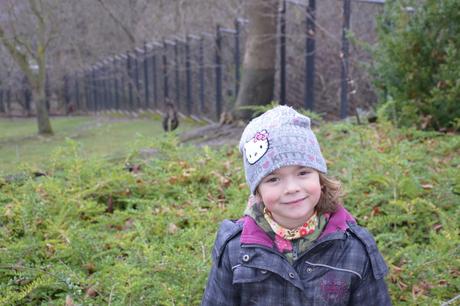 Růžovo-šedivá čepice hello kitty, sanrio,116