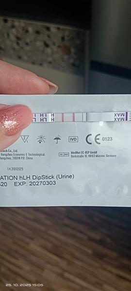 Ovulační testy při snaze o druhé dítě. Někdo podobně?