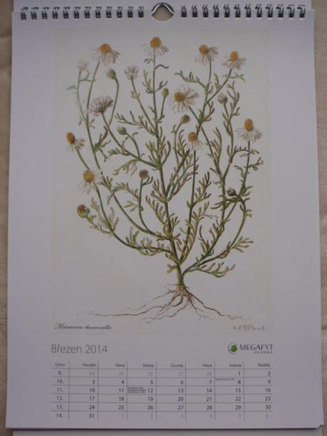 Kalendář nástěnný-na stěnu 2014, 