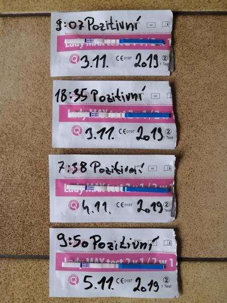 6.tt - prázdný ultrazvuk a zdvižený prst na mimoděložní těhotenství. Mám naději?